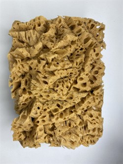 MF щетка с губкой для декор. работ (эффект морской губки) 100x150мм 1685 - фото 4596